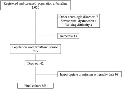 Modifiable Lifestyle Factors and Cognitive Function in Older People: A Cross-Sectional Observational Study